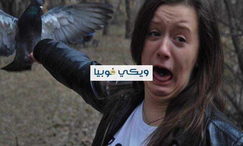 فوبيا الطيور: كافة المعلومات عن رهاب الأورنيثوفوبيا والريش فوبيا الطيور