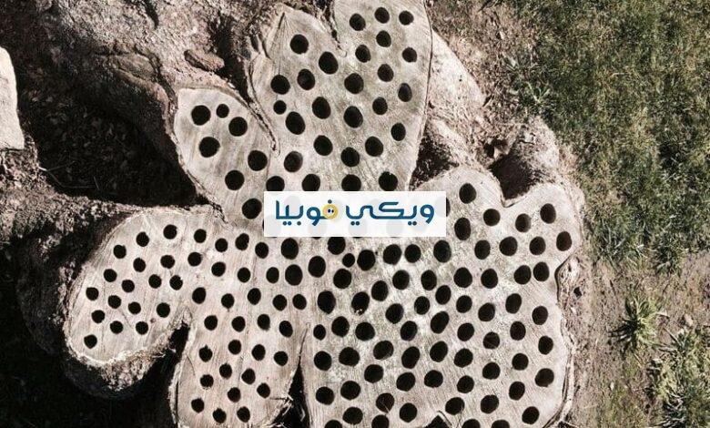 علاج التريبوفوبيا: طرق علاج فوبيا النخاريب وأعراضها %D8%B9%D9%84%D8%A7%D8%AC-%D8%A7%D9%84%D8%AA%D8%B1%D9%8A%D8%A8%D9%88%D9%81%D9%88%D8%A8%D9%8A%D8%A7-%D8%A7%D9%84%D8%AB%D9%82%D9%88%D8%A8-780x470