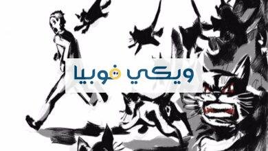 فوبيا القطط: دليل شامل عن رهاب الخوف من القطط (أيلوروفوبيا) فوبيا القطط