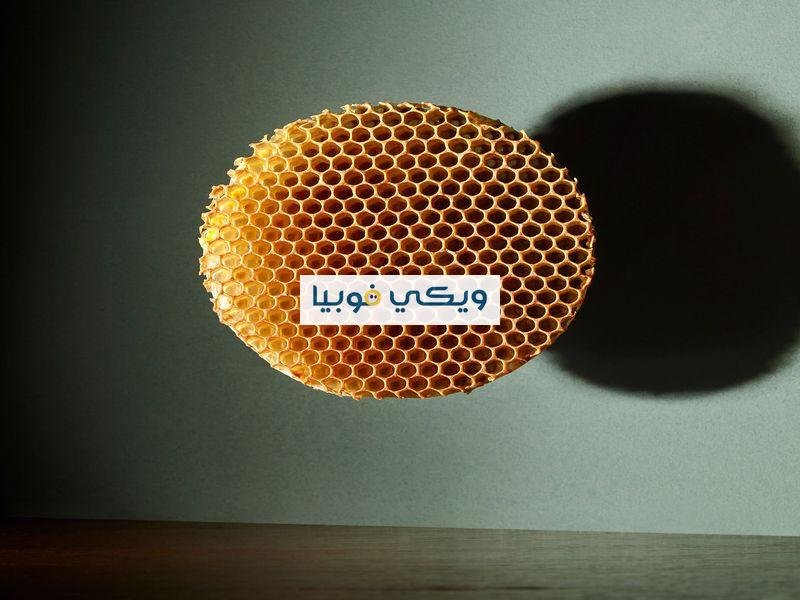 أضرار فوبيا الثقوب وكيف تُعالج فوبيا النخاريب؟ أضرار فوبيا الثقوب