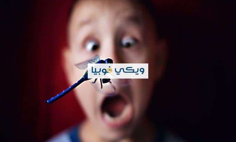 كيفية التخلص من فوبيا الحشرات وأسباب هذا الرهاب التخلص من فوبيا الحشرات