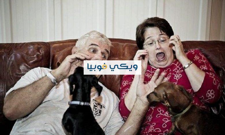 التخلص من فوبيا الحيوانات وأسبابها وطرق علاجها التخلص من فوبيا الحيوانات