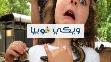 اوفيديو فوبيا الافاعي والثعابين: الأسباب، الأعراض، العلاج اوفيديو فوبيا الثعابين