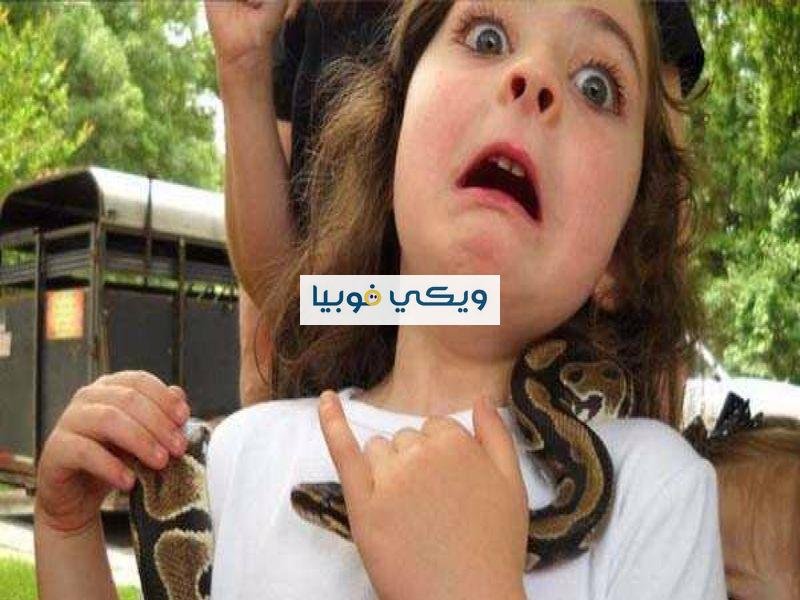 اوفيديو فوبيا الافاعي والثعابين: الأسباب، الأعراض، العلاج اوفيديو فوبيا الثعابين