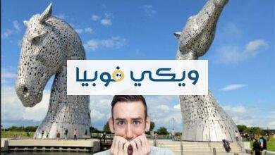 فوبيا الأشياء الكبيرة: الخوف من الأجسام الضخمة وطرق العلاج فوبيا الأشياء الكبيرة