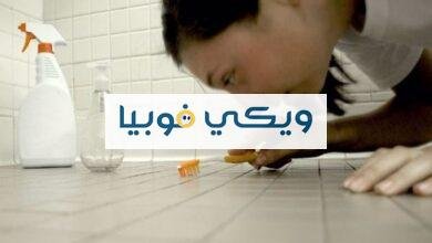 فوبيا الجراثيم: عندما يتحول وسواس النظافة إلى رهاب القذارة فوبيا الجراثيم