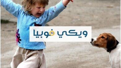 عندك فوبيا الحيوانات؟ إليك أنواع وأسباب وعلاج رهاب Zoophobia فوبيا الحيوانات