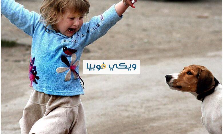 عندك فوبيا الحيوانات؟ إليك أنواع وأسباب وعلاج رهاب Zoophobia فوبيا الحيوانات