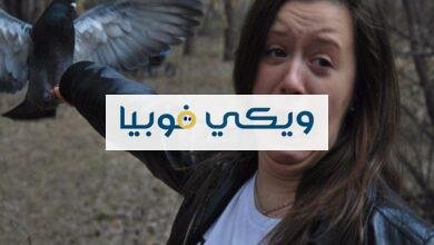 فوبيا الطيور: كافة المعلومات عن رهاب الأورنيثوفوبيا والريش فوبيا الطيور