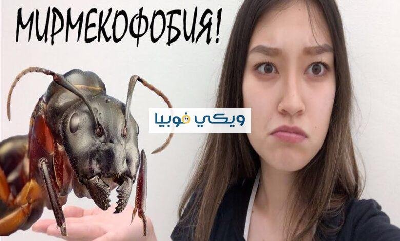 أسباب وأعراض فوبيا النمل وكيف تعالج خوفك منه؟ فوبيا النمل