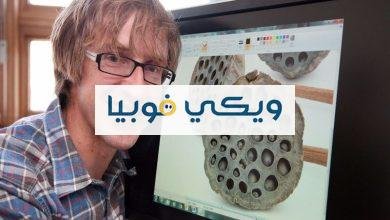 كيفية التخلص من فوبيا الثقوب أسباب وأعراض وعلاج كيفية التخلص من فوبيا الثقوب