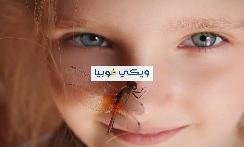 ألطفها فوبيا الفراشات.. تعرّف على أشهر أنواع الفوبيا اللطيفة أنواع الفوبيا اللطيفة