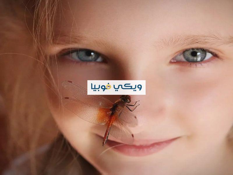 ألطفها فوبيا الفراشات.. تعرّف على أشهر أنواع الفوبيا اللطيفة أنواع الفوبيا اللطيفة