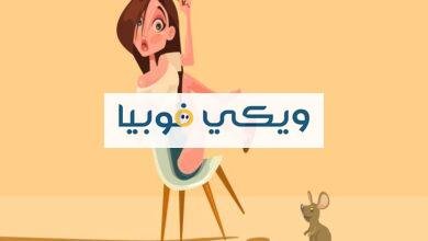 فوبيا الفئران: أسباب وأعراض رُعب الخوف من الفأر وما العلاج؟ فوبيا الفئران