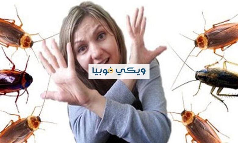 ما هي فوبيا الحشرات؟ أسبابها وأعراضها وكيف تتخلص منها للأبد؟ ما هي فوبيا الحشرات