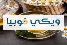 تجربتي مع البابونج للاكتئاب والعلاج بالأعشاب تجربتي مع البابونج للاكتئاب