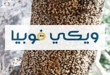 كيف اتخطى فوبيا الثقوب؟ تعرّف على طرق العلاج كيف اتخطى فوبيا الثقوب