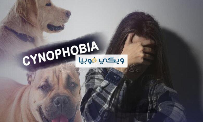 كيف تتخلص من فوبيا الكلاب بنفسك دون معالج نفسي؟ كيف تتخلص من فوبيا الكلاب