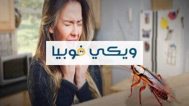 كيفية التخلص من فوبيا الصراصير وعلاج نهائي للخوف من الصرصور كيفية التخلص من فوبيا الصراصير