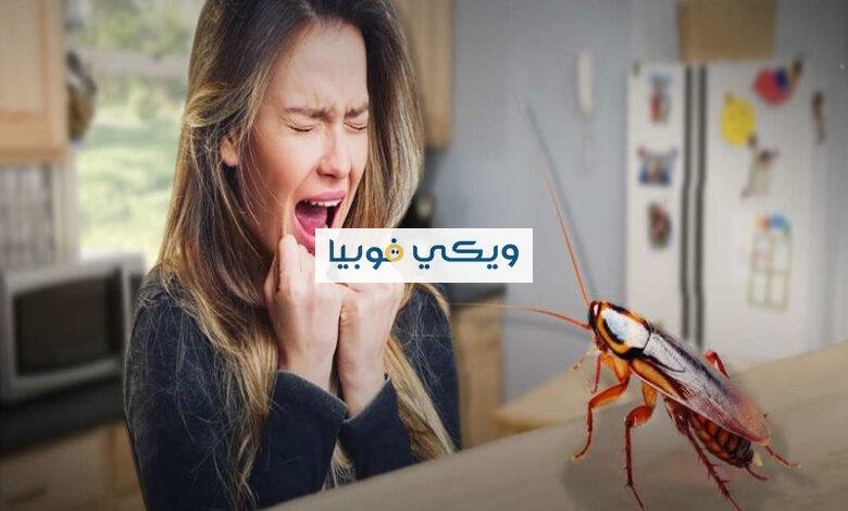 كيفية التخلص من فوبيا الصراصير وعلاج نهائي للخوف من الصرصور كيفية التخلص من فوبيا الصراصير